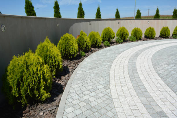 Best Custom Driveway Pavers  in Whitmire, SC